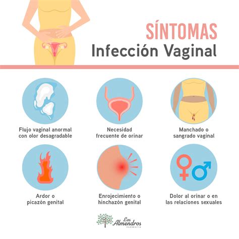 infeccion vajinal fotos reales|Infecção vaginal: sintomas, causas, transmissão e tratamento